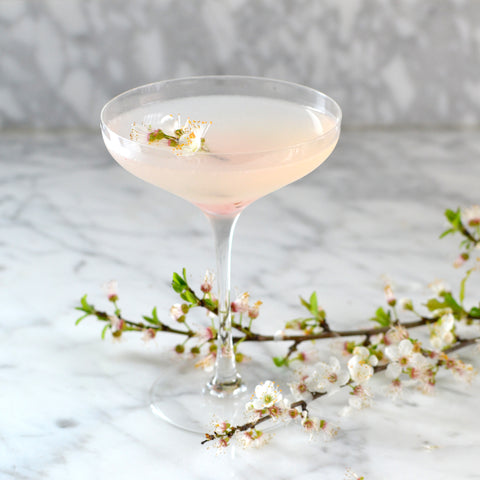 Sakura Daikiri (A Hemingway Daiquiri Riff)