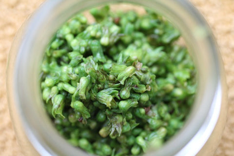 MOTOism: Farewell to Summer: Shiso Beautiful