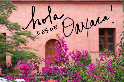 Forest Feast: Oaxaca