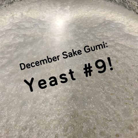 Yeast #9 (December 2019)