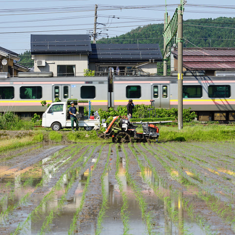 Meet the Maker: Yuta Abe of Abe Sake Brewery
