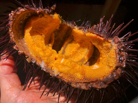 Shochu'sday w. Christopher Pellegrini