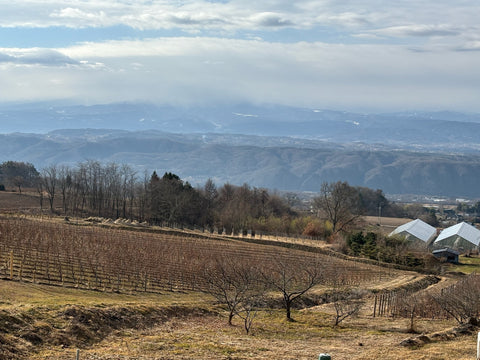 Japanese Natural Wine Tasting w. Sea Priest Selections