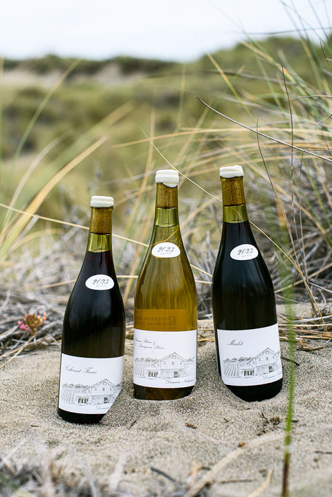 Japanese Natural Wine Tasting w. Sea Priest Selections