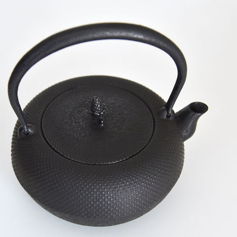 Iwachu Higuchi Arare Cast Iron Kettle