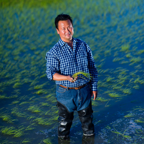 Uka Sake + Koda Farms: A Sake + Rice Tasting