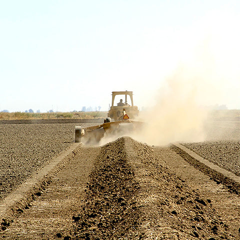 Uka Sake + Koda Farms: A Sake + Rice Tasting