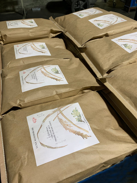 Luna Koshihikari Shinmai Organic Rice - 5lbs
