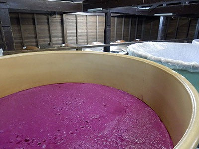 Don't Be Imo Three Pack