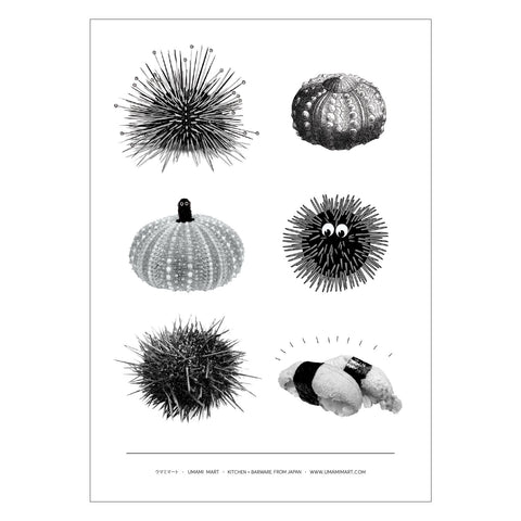 Uni Greeting Card 6-Pack