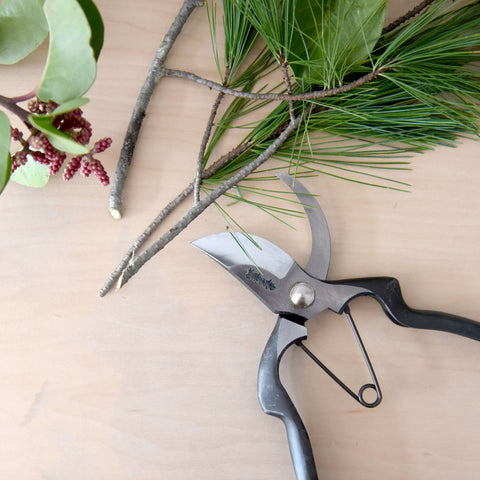 Pruning Shears