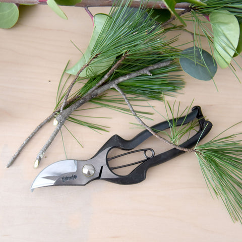 Pruning Shears