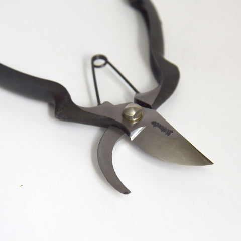 Pruning Shears