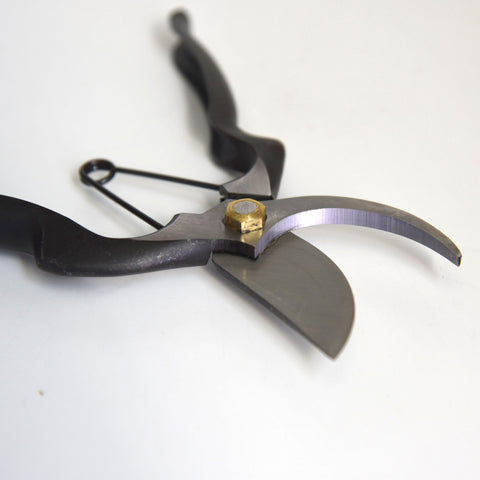 Pruning Shears