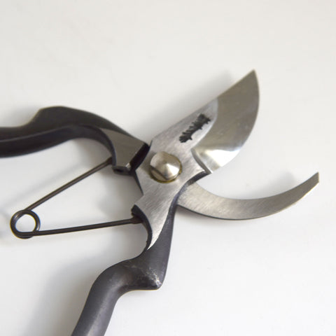 Pruning Shears