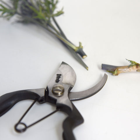 Pruning Shears