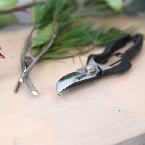 Pruning Shears