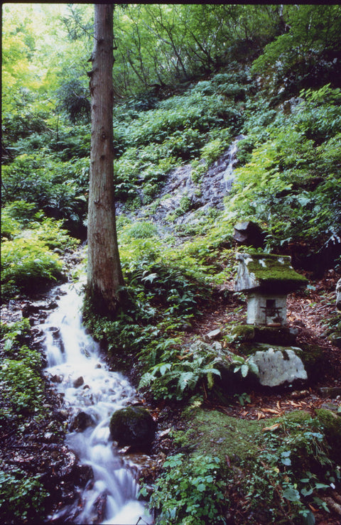 Hakkaisan Brewery Visit + Tasting Zoom Party