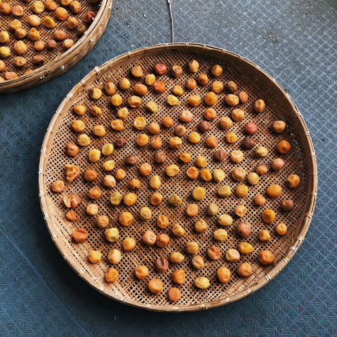 Water, Wood & Wild Things: Making Umeboshi w. Hannah Kirshner